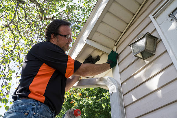 Best Same-Day Junk Removal Services  in Ovid, MI