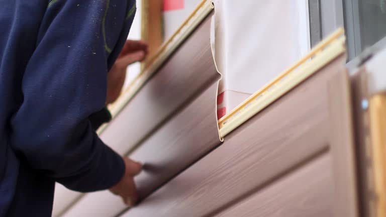 Best Property Management Cleanouts  in Ovid, MI